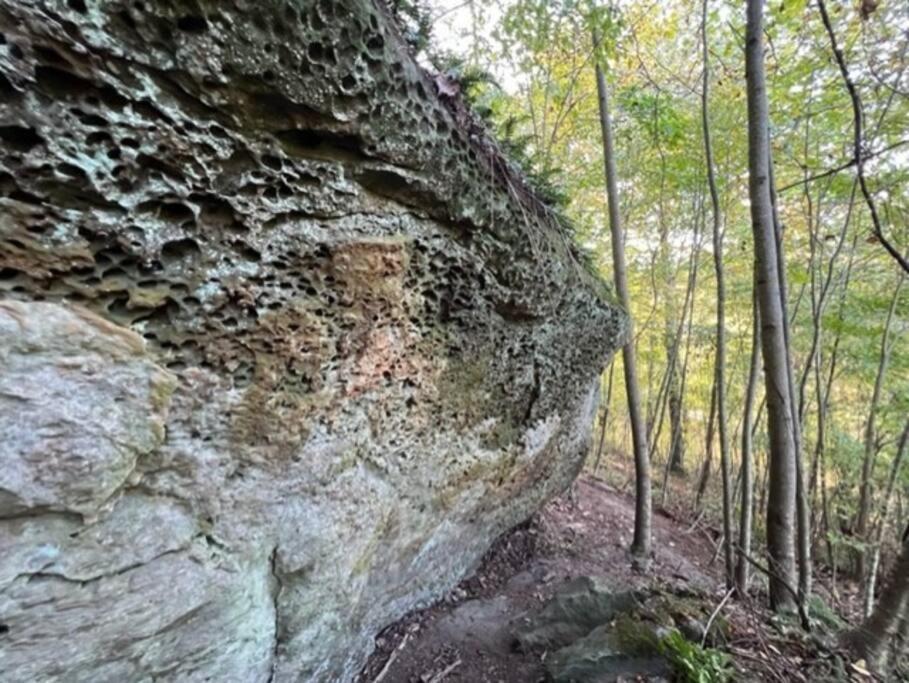 Hocking Hills Cabin-Private Hot Tub, Hiking, Caves Villa Rockbridge Bagian luar foto