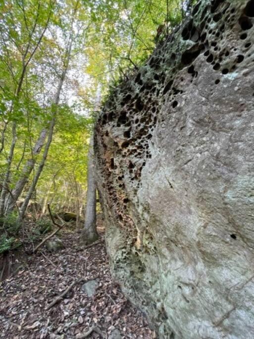 Hocking Hills Cabin-Private Hot Tub, Hiking, Caves Villa Rockbridge Bagian luar foto